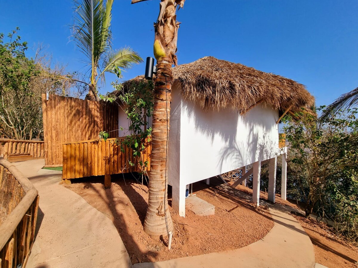 Luxury Cabin Macaws