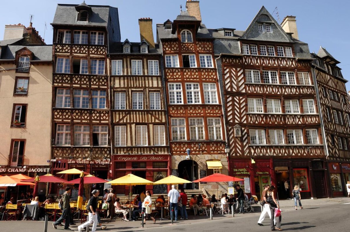 Rennes历史中心家庭公寓