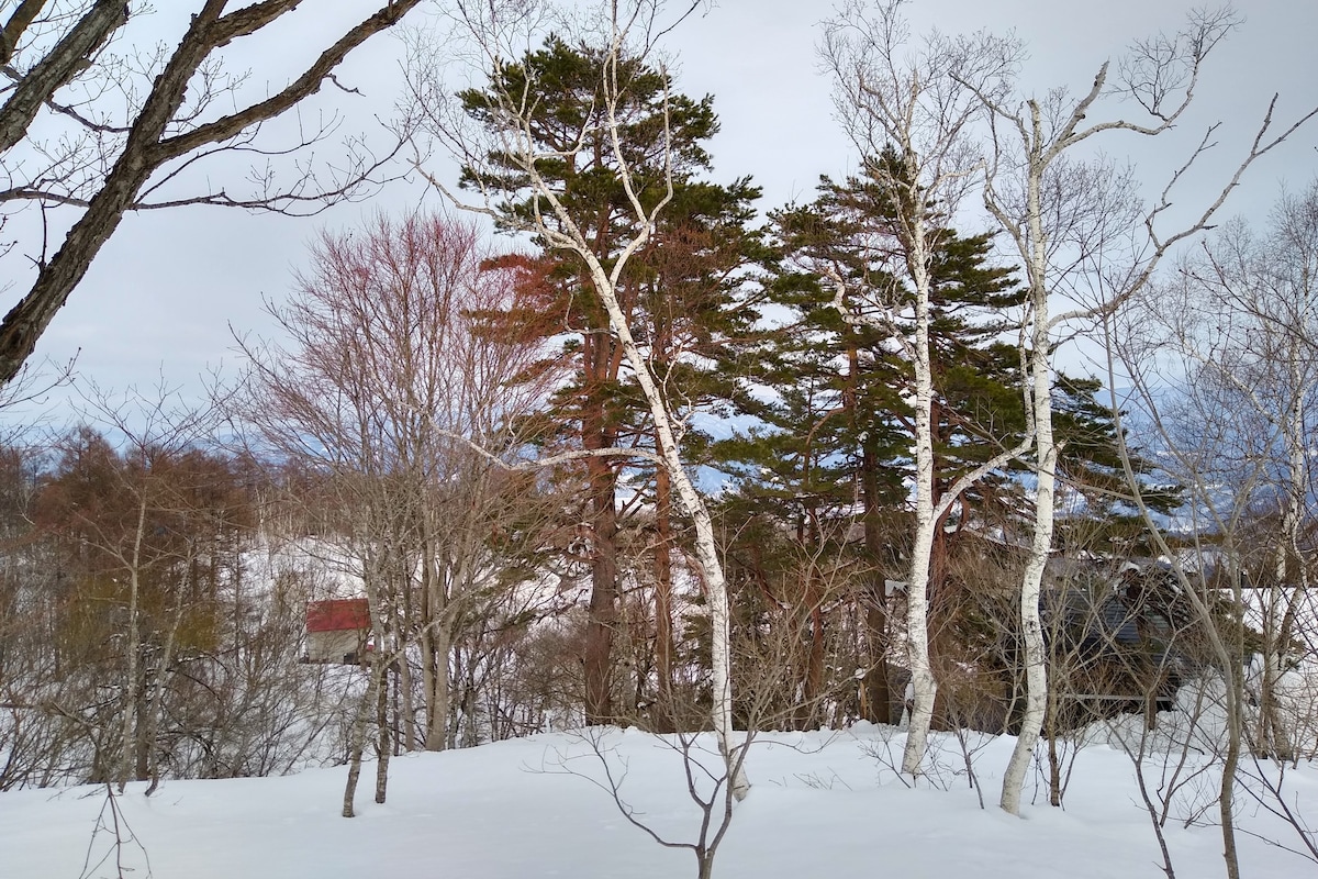 斑尾高原  Robin's Lodge