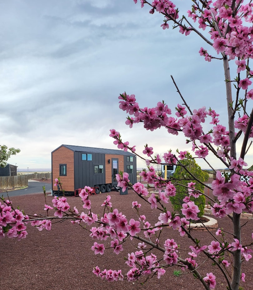 Stargazer tiny home with 2 lofts near Grand Canyon