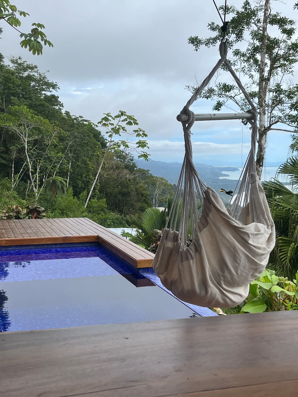 Stunning Ocean View, Infinity Pool, OutdoorKitchen