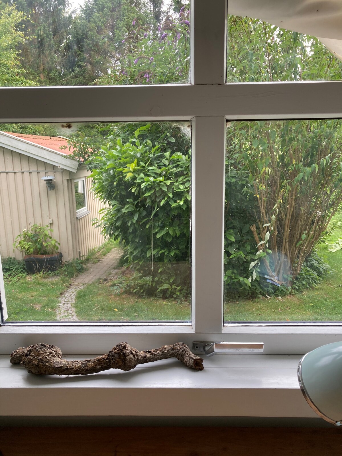 3 min. gang fra børnevenlig strand og skov.