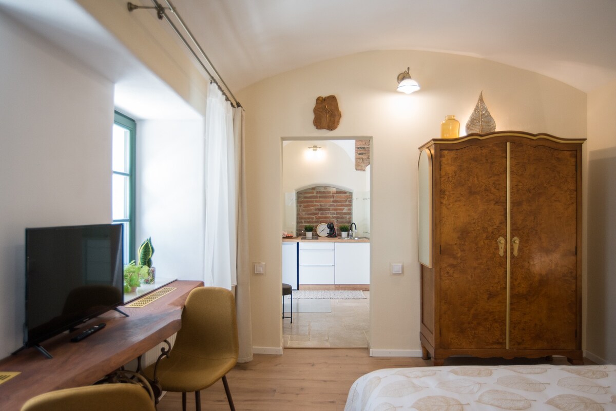 Adorable one-bedroom apartment in downtown Kosice