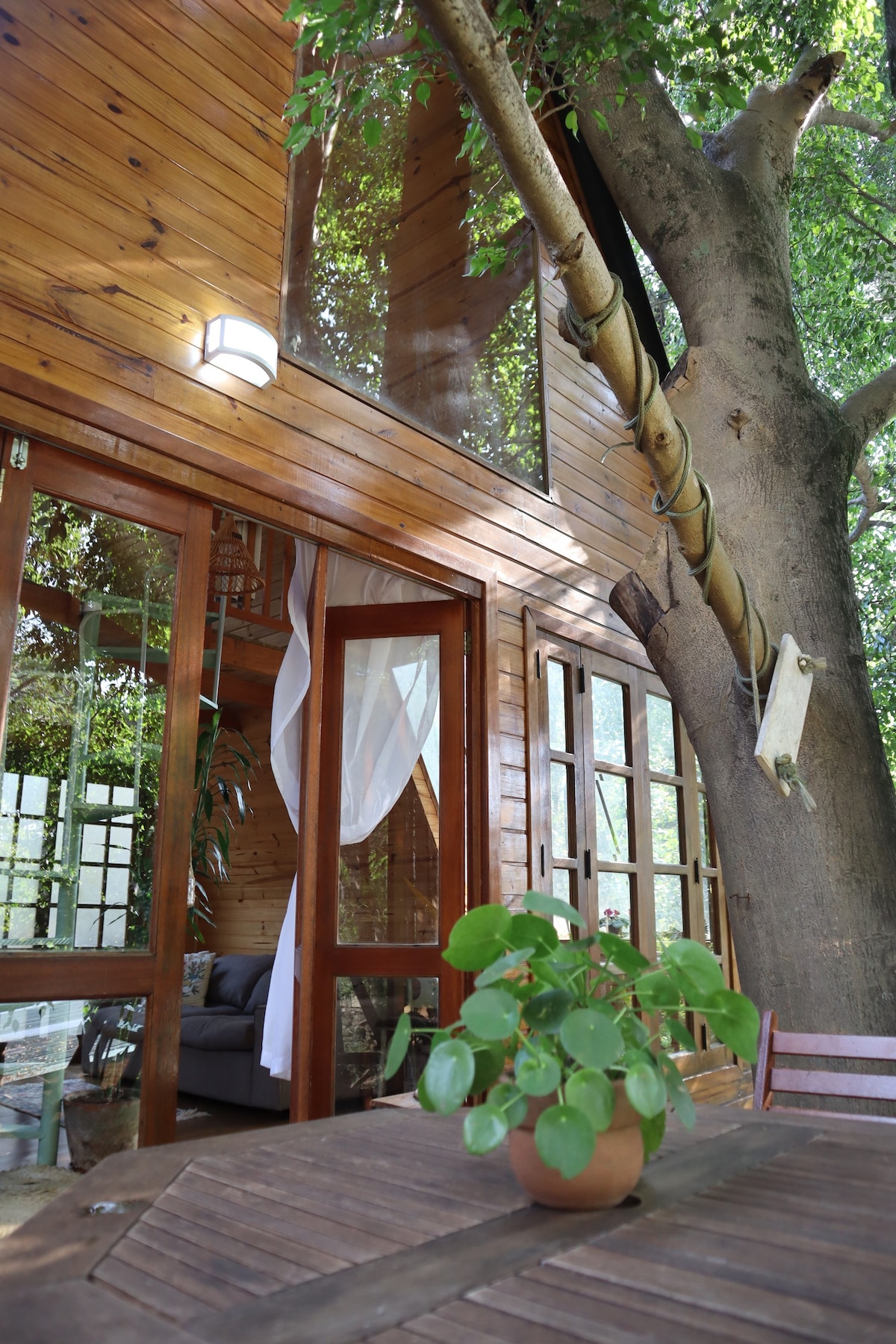 神奇地方的小木屋-圣保罗的自然度假胜地