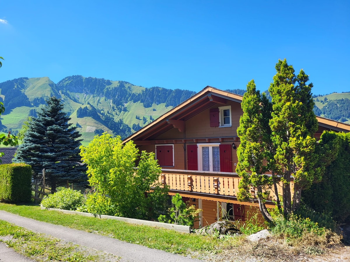 阳光明媚的度假木屋公寓，可欣赏全景