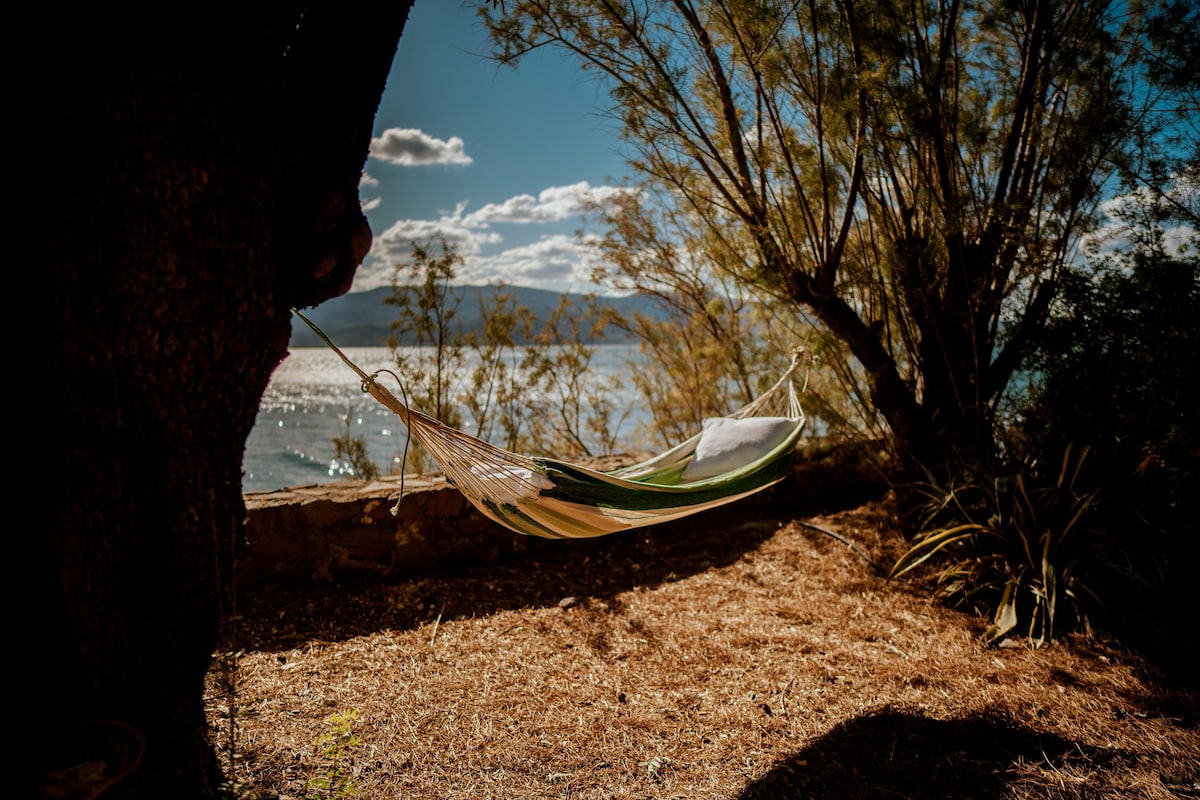 Seafront Olive Grove Stone House Island Retreat