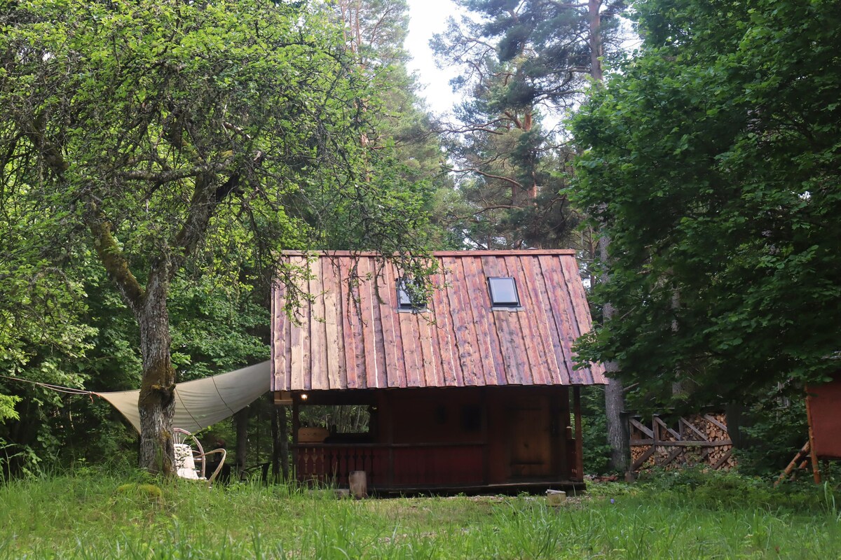 小型农场上的私人森林小木屋