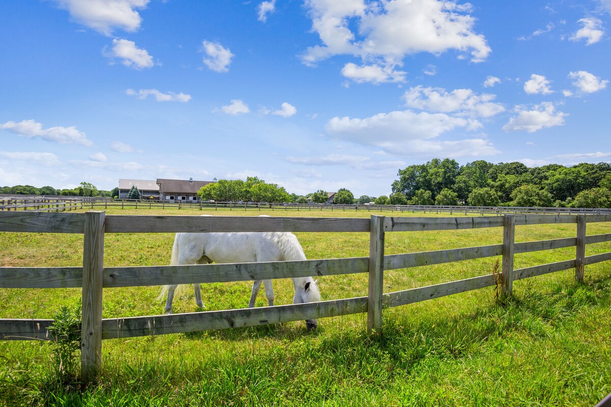 Hamptons Modern Horse Farm Property August Special