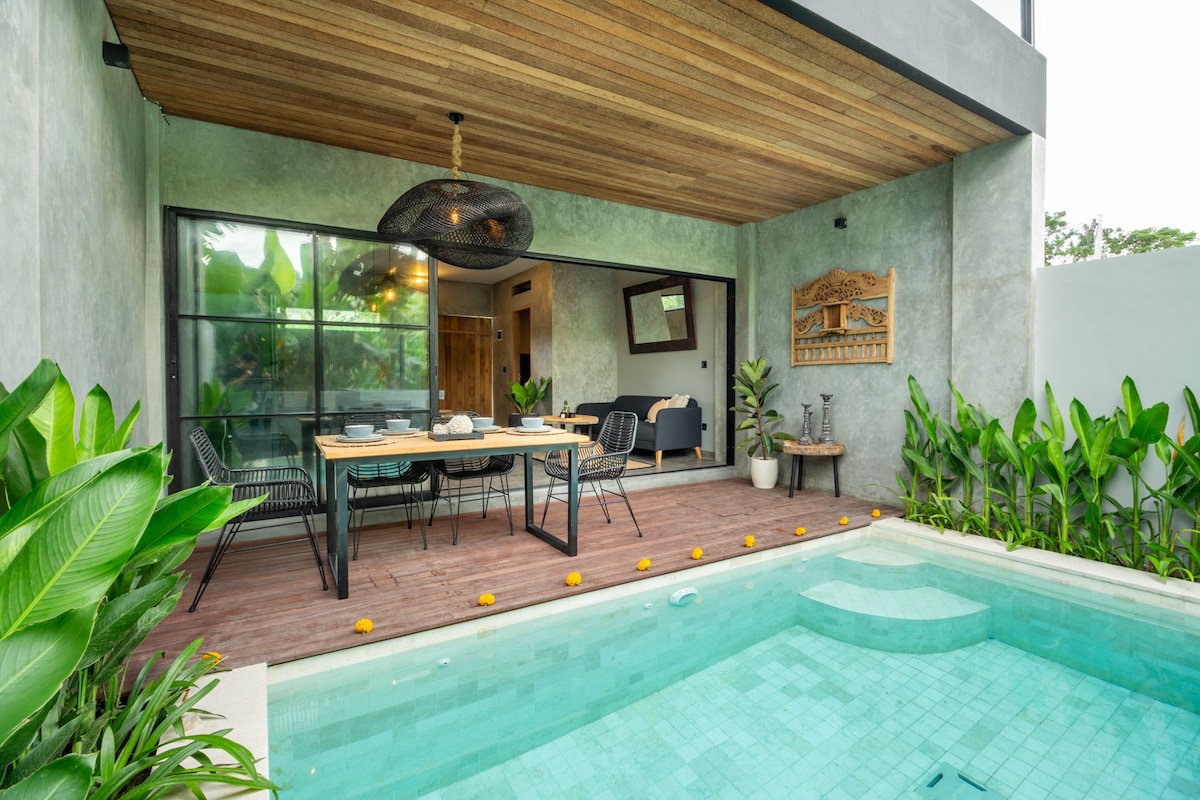 Designer Townhouse | Private Plunge Pool | Modern