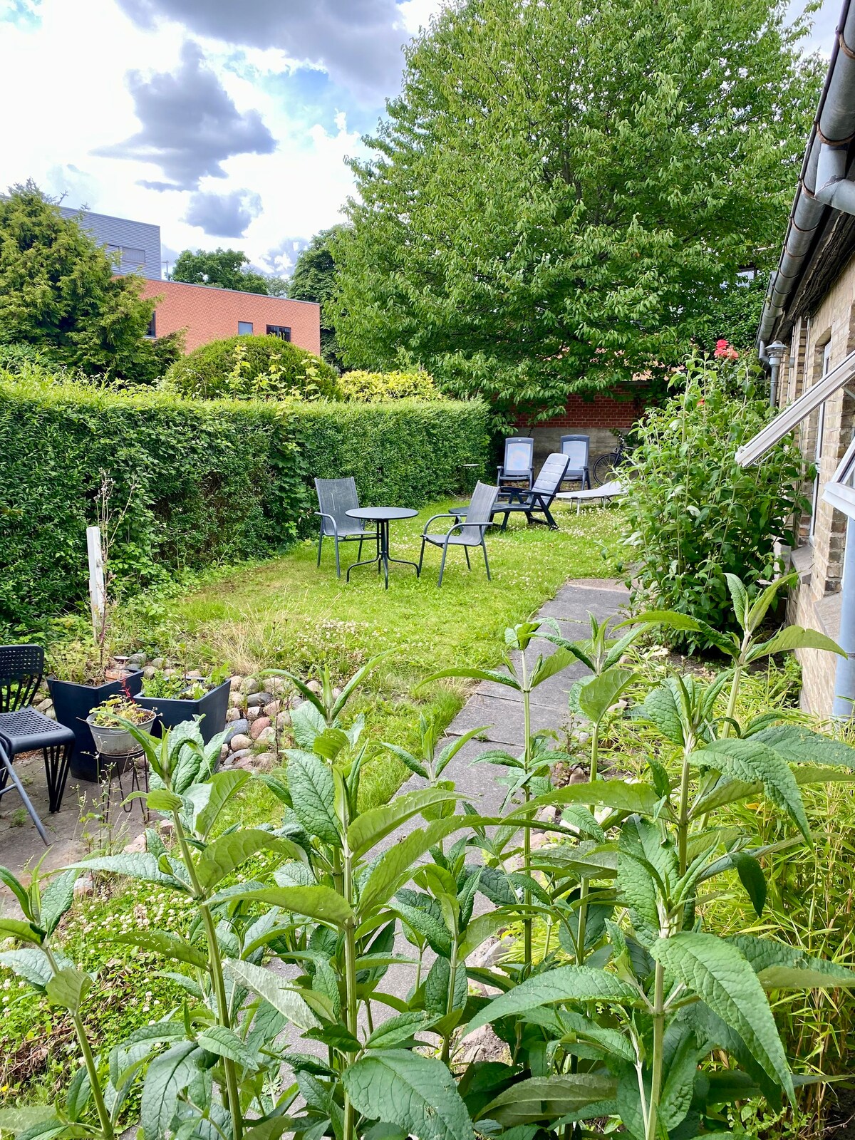 Skøn lejlighed med gårdhave