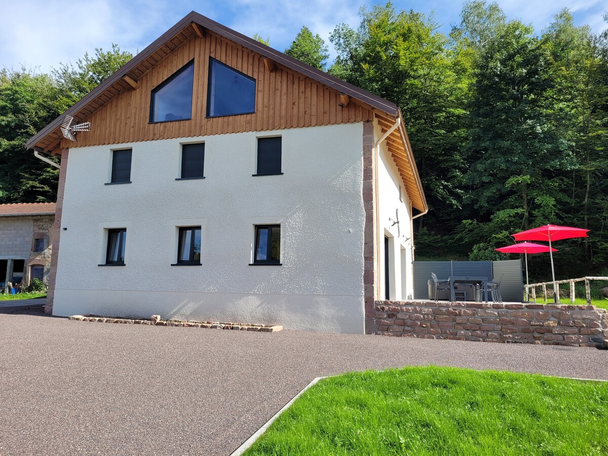 Gîte charmant 14 pers. avec spa en pleine nature