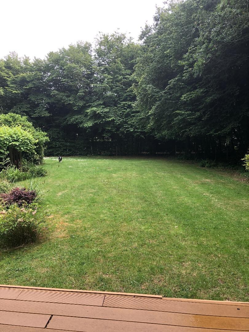 5-bed, lovely gardens, family/dog, M25, Gatwick