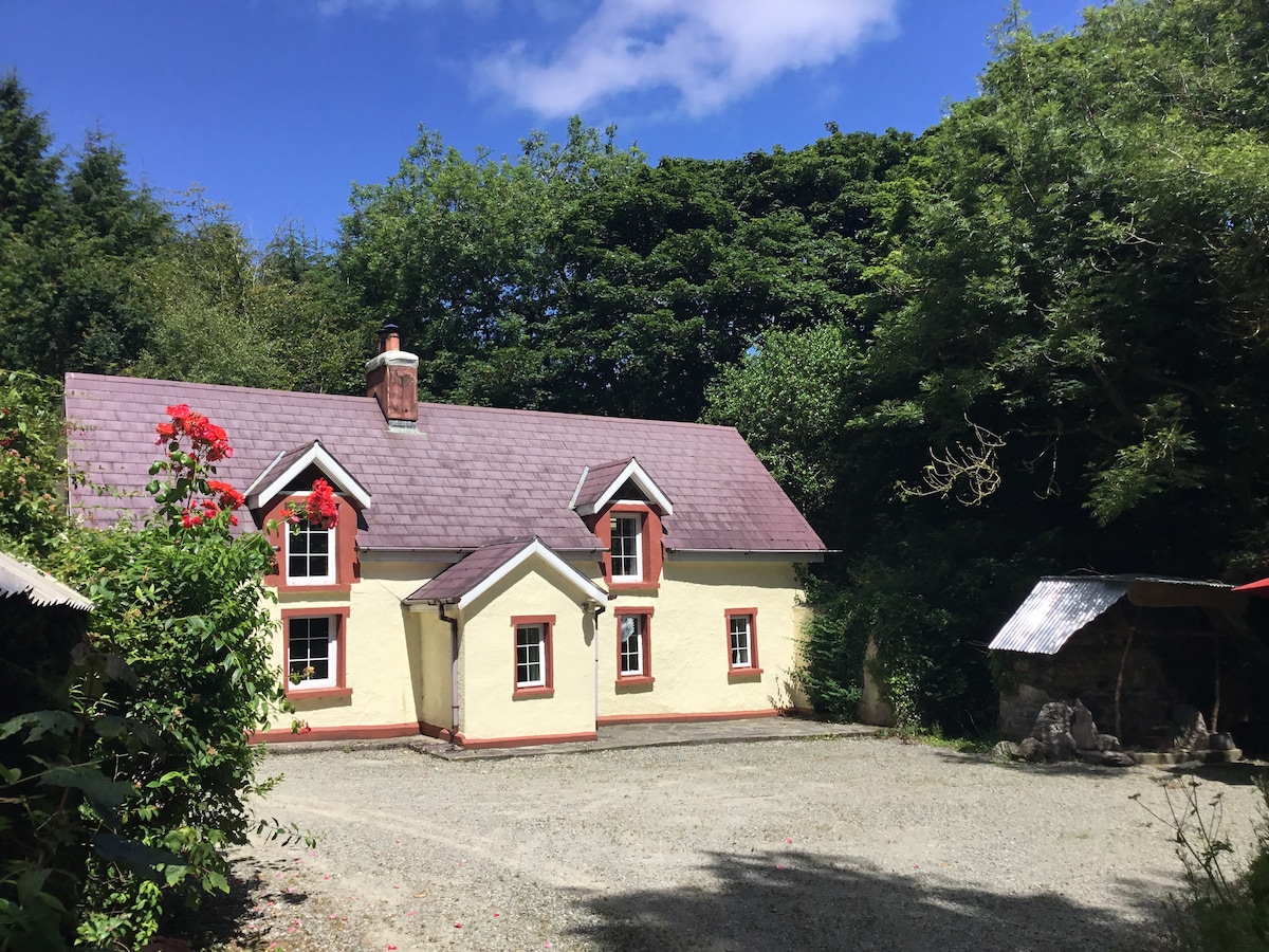 Original 18th century traditional wexford farmhous