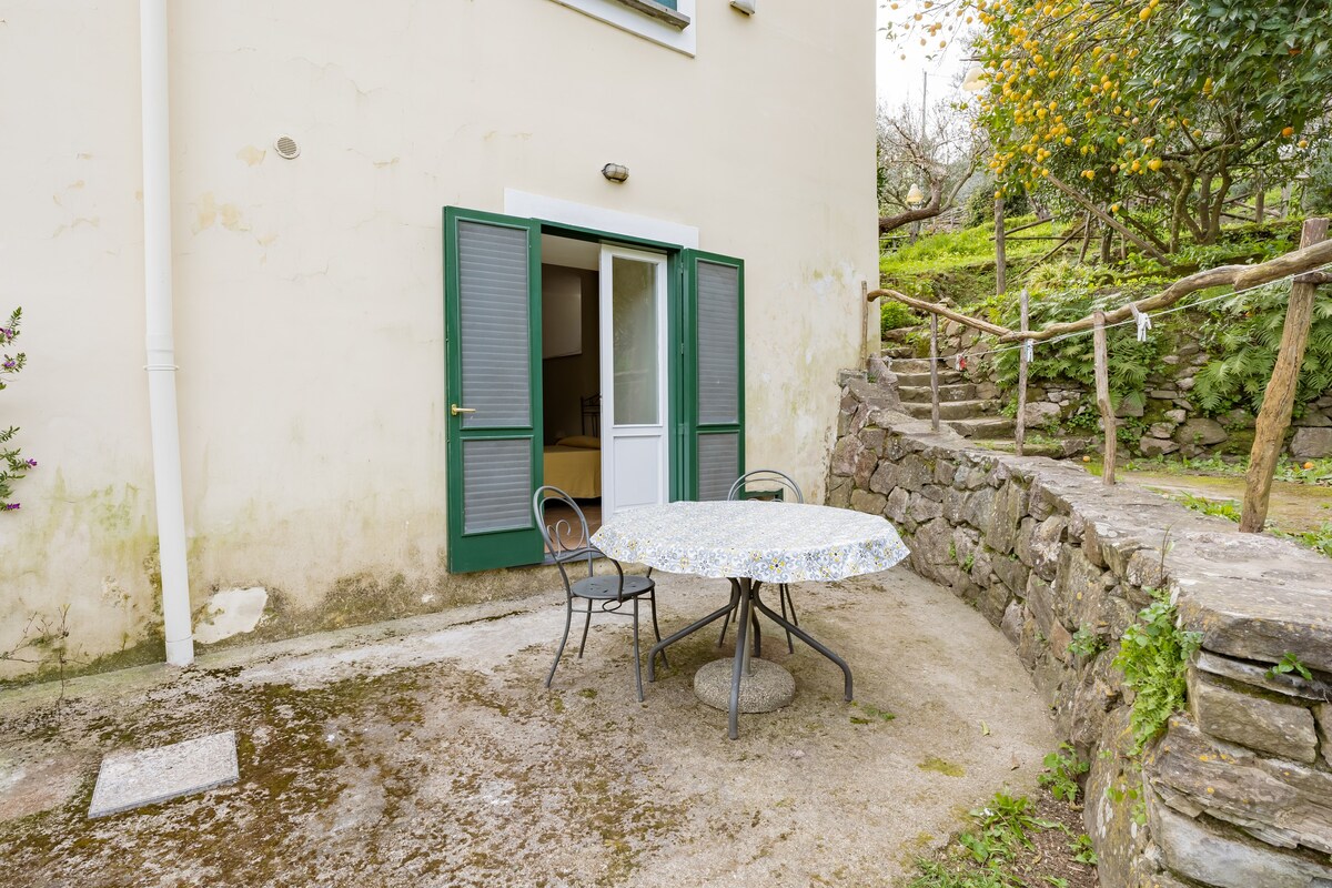 Room with breakfast in agri bio farm