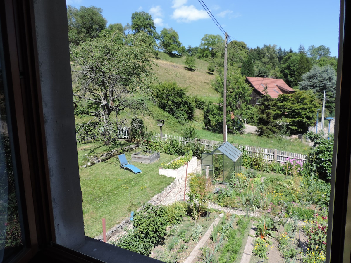 Grande chambre dans maison ancienne avec jardin