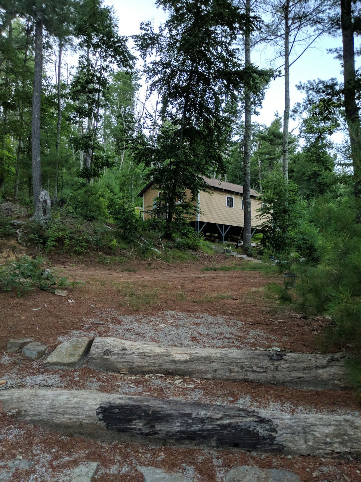 B.花栗鼠小木屋小山上的小木屋