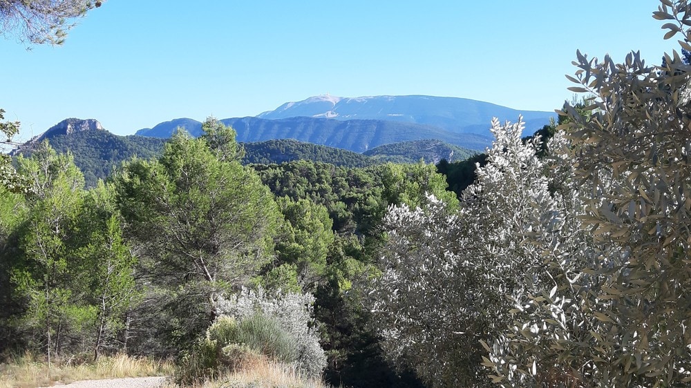 "Au gué d'Ollon", gîte au pied des sentiers