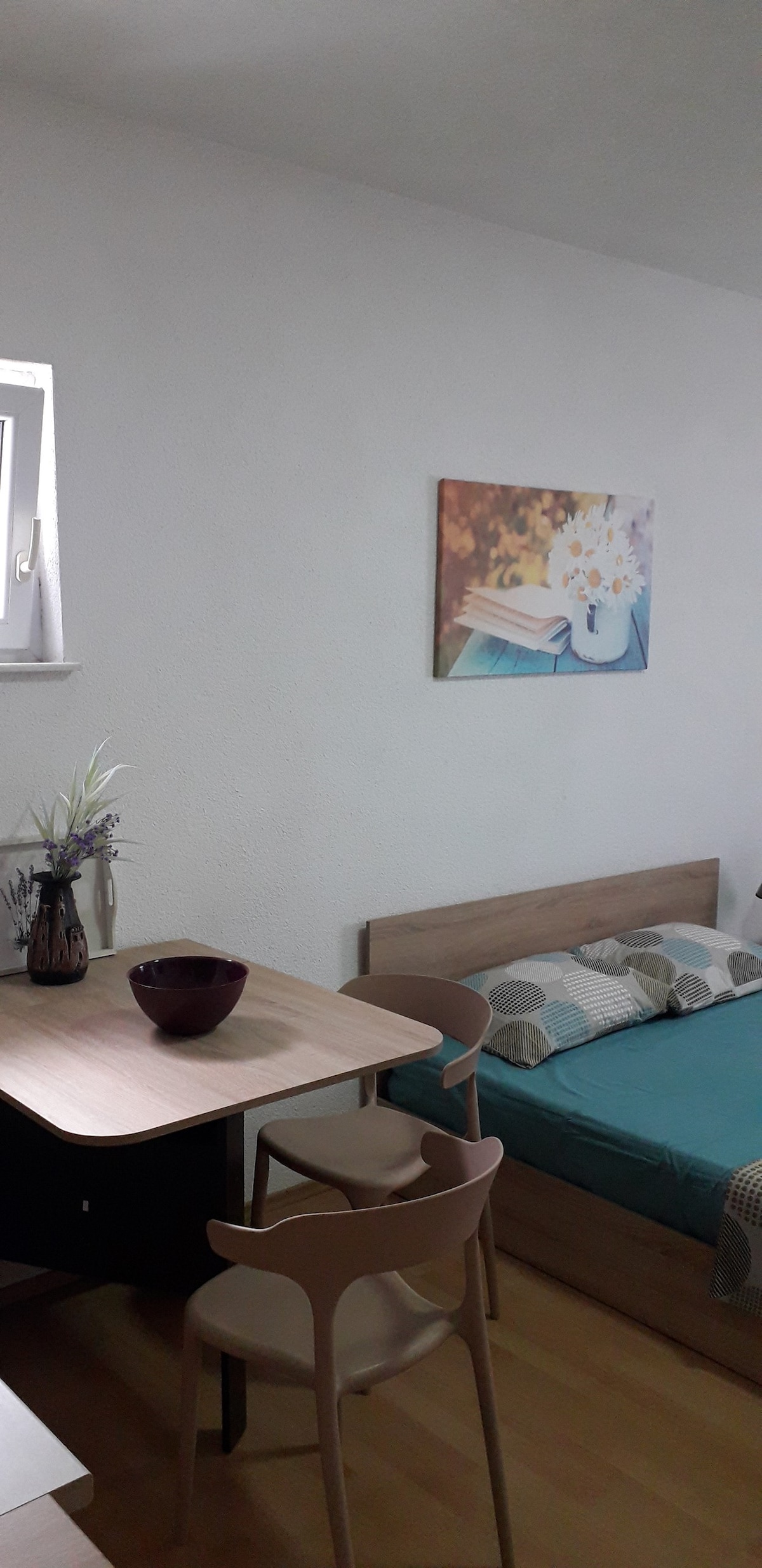 NS Studio apartment in the center of Struga