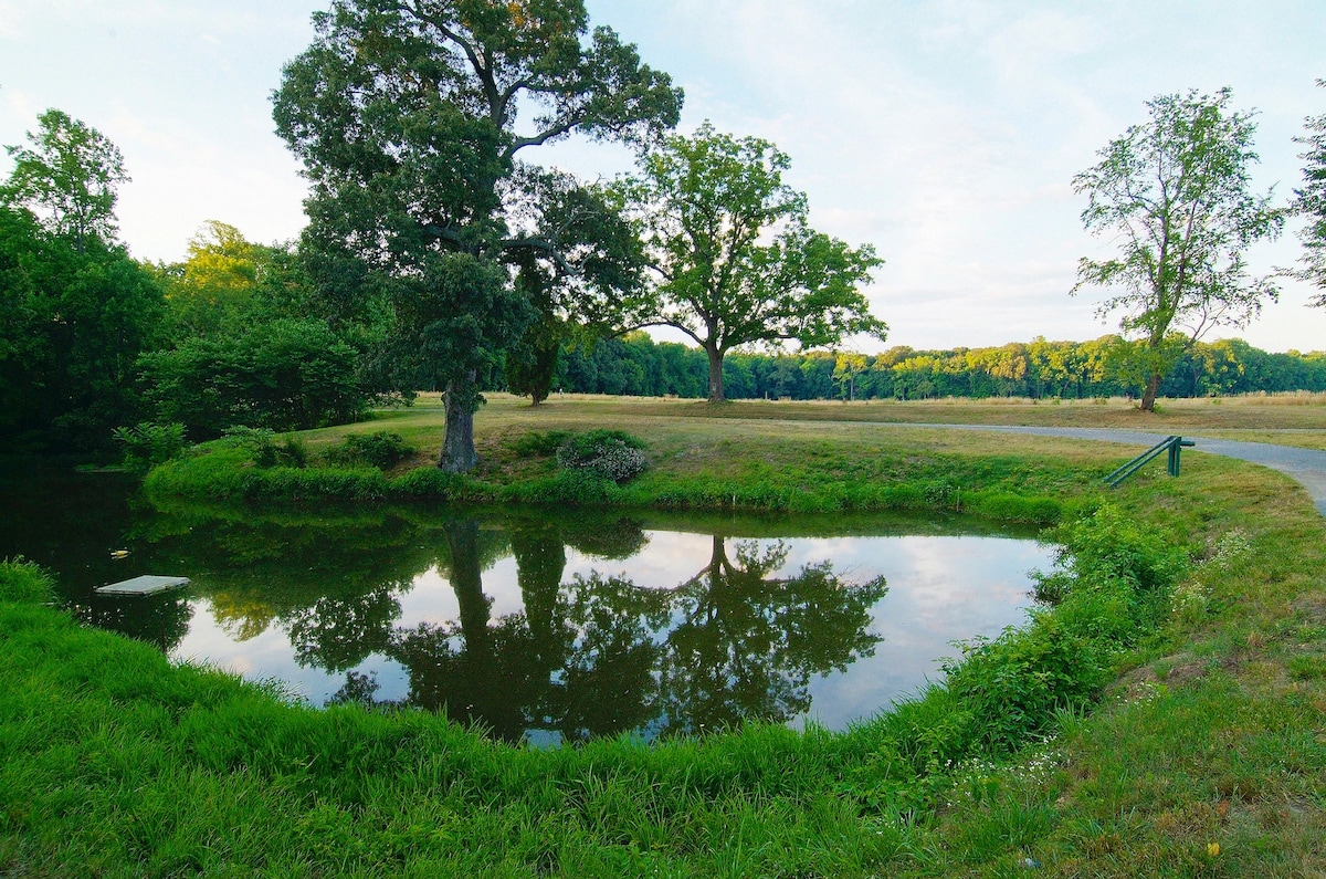 Nature Retreat