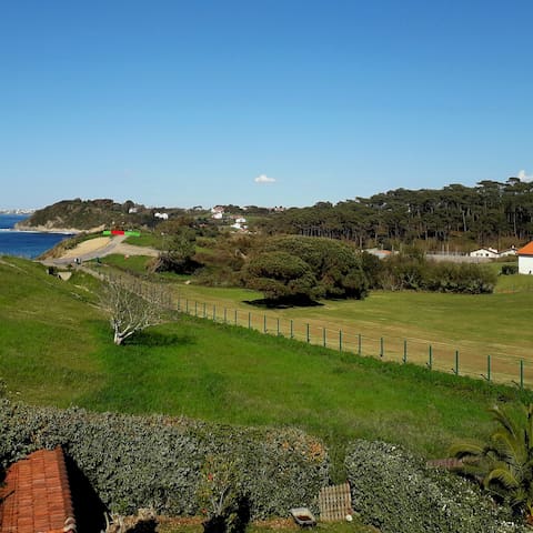 圣让德吕兹（Saint-Jean-de-Luz）的民宿