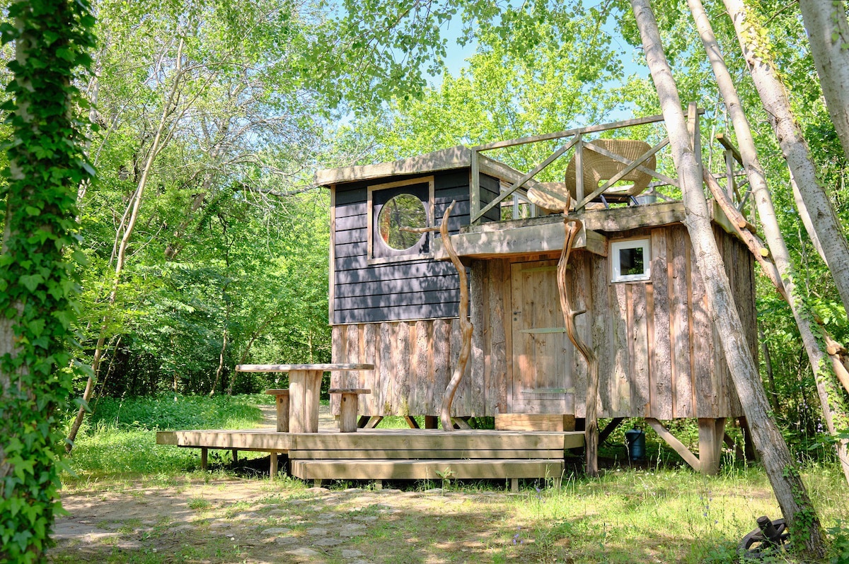 Cabane Spa Amarante - Coucoo La Réserve