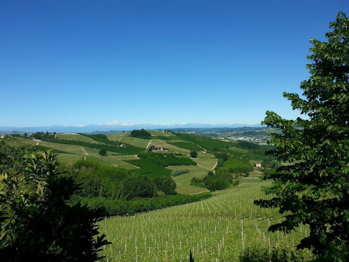 Casa in campagna a Barbaresco per 8 persone