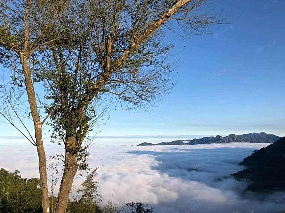 可爱的1卧室，户外空间美丽-蘭