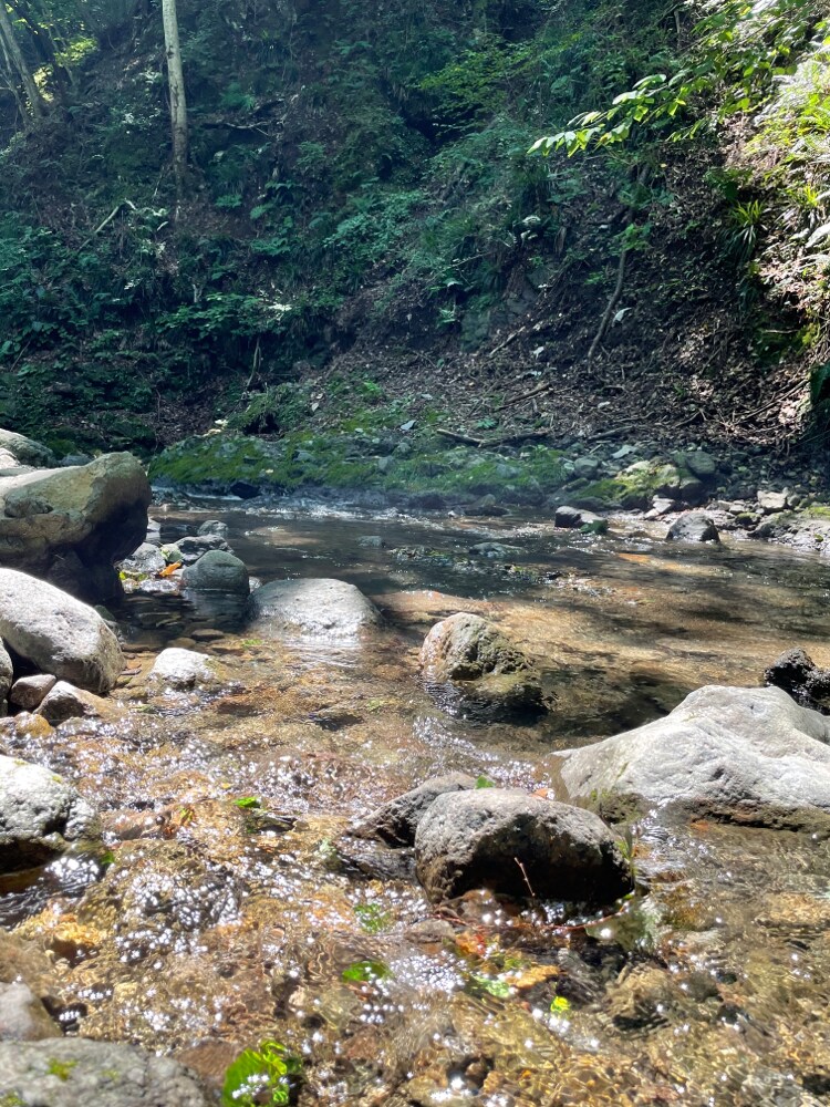 驹ヶ野~森林里有露营地和烧烤区。距离上野原交流道15分钟距离秋山温泉2分钟