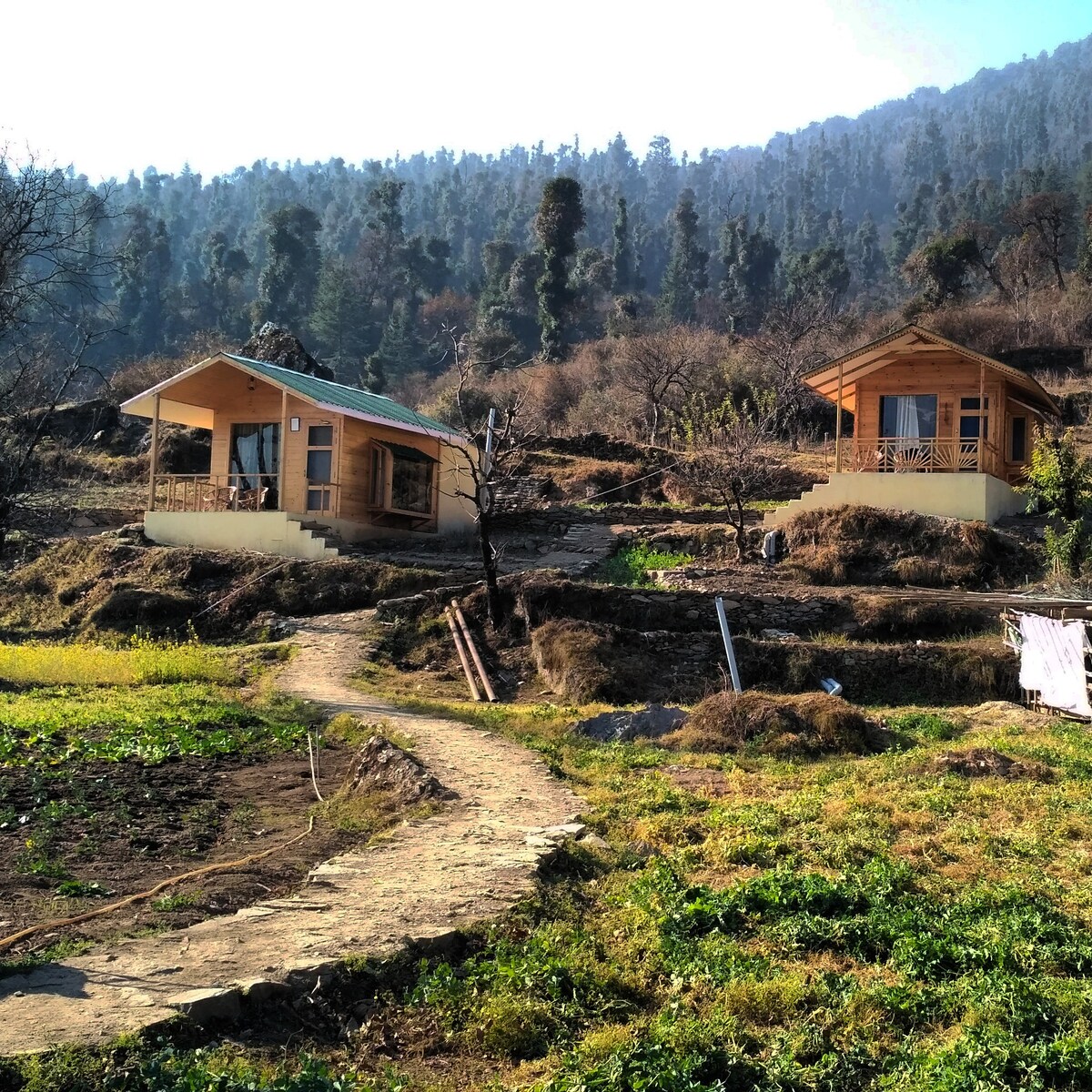 The goat village Dayara bugyal by LivingStone