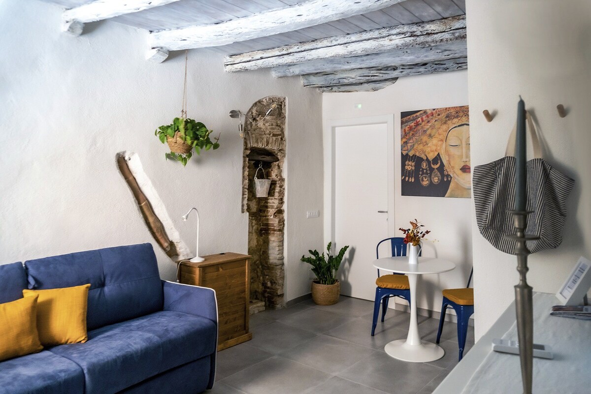 位于卡利亚里（ Cagliari ）老城区的优雅单间公寓