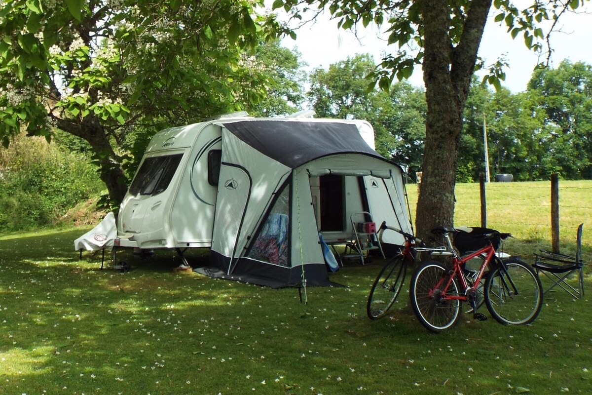Camping Pitch - Tent/Caravan/Camper (max 6m long)
