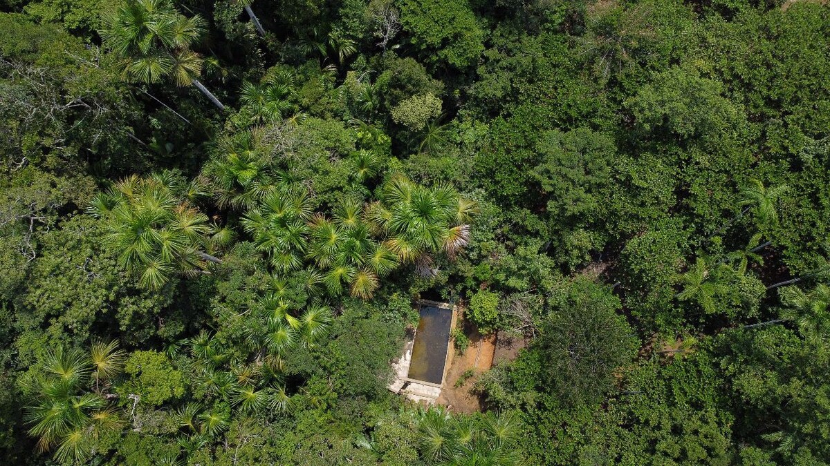 Casa Azul Reserve亚马逊丛林之旅