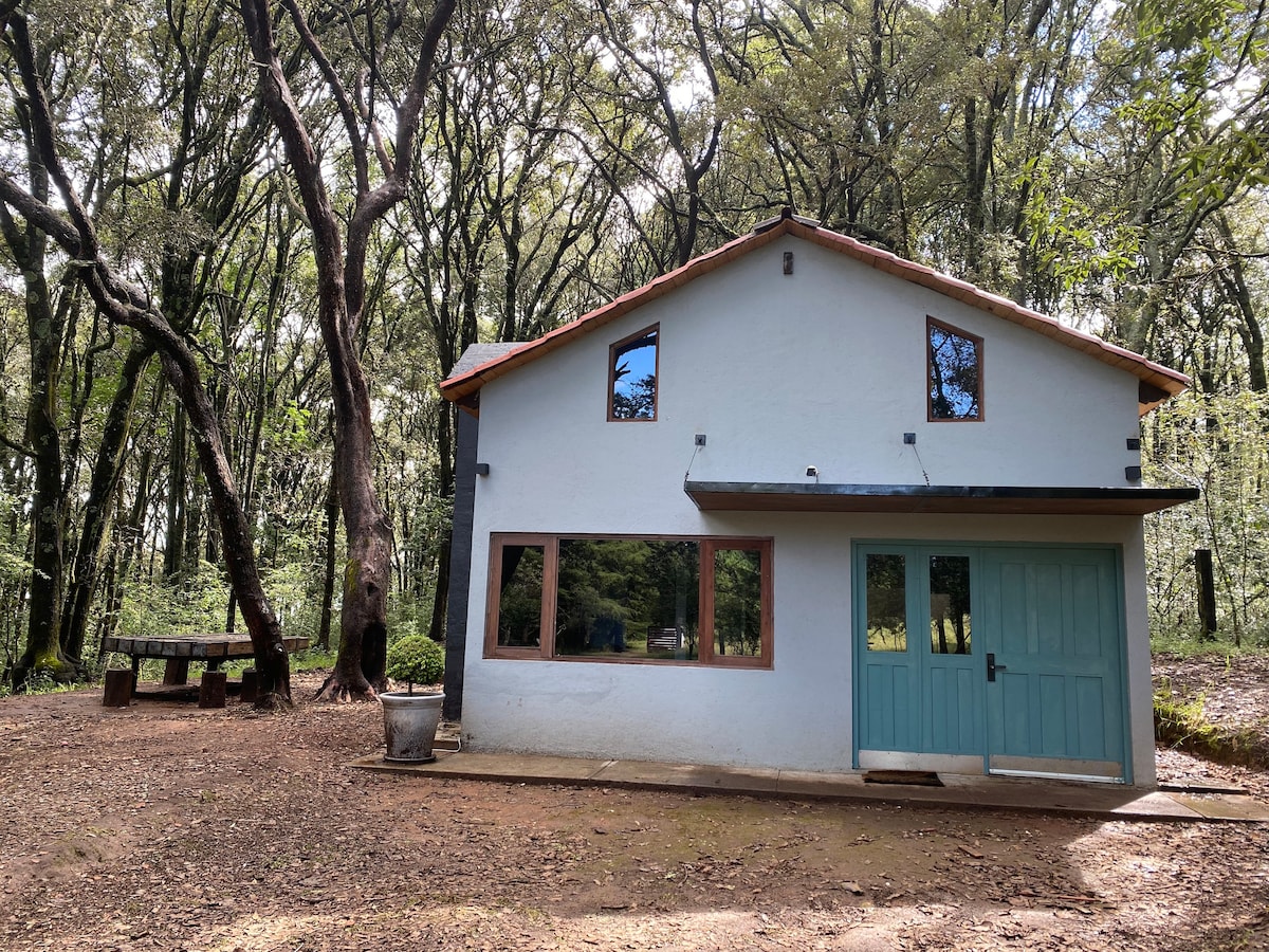 Cabaña muy acogedora rodeada de Bosque