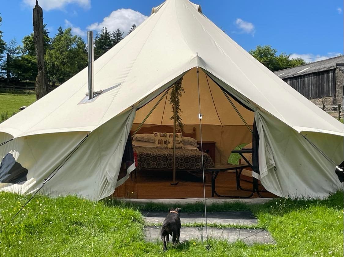 Daisy Bell tent - family of 4 with woodburner