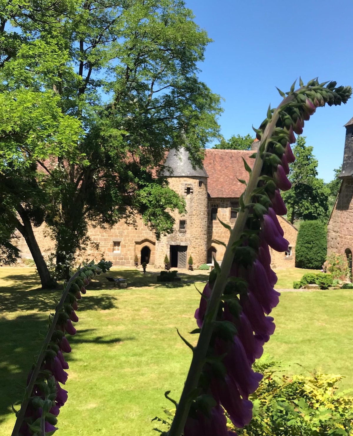 Chateau avec piscine à l orée de la forêt