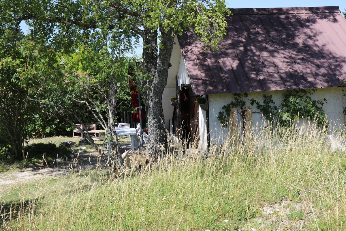 Bienvenue au petit chalet "la Tanière du Lynx" !