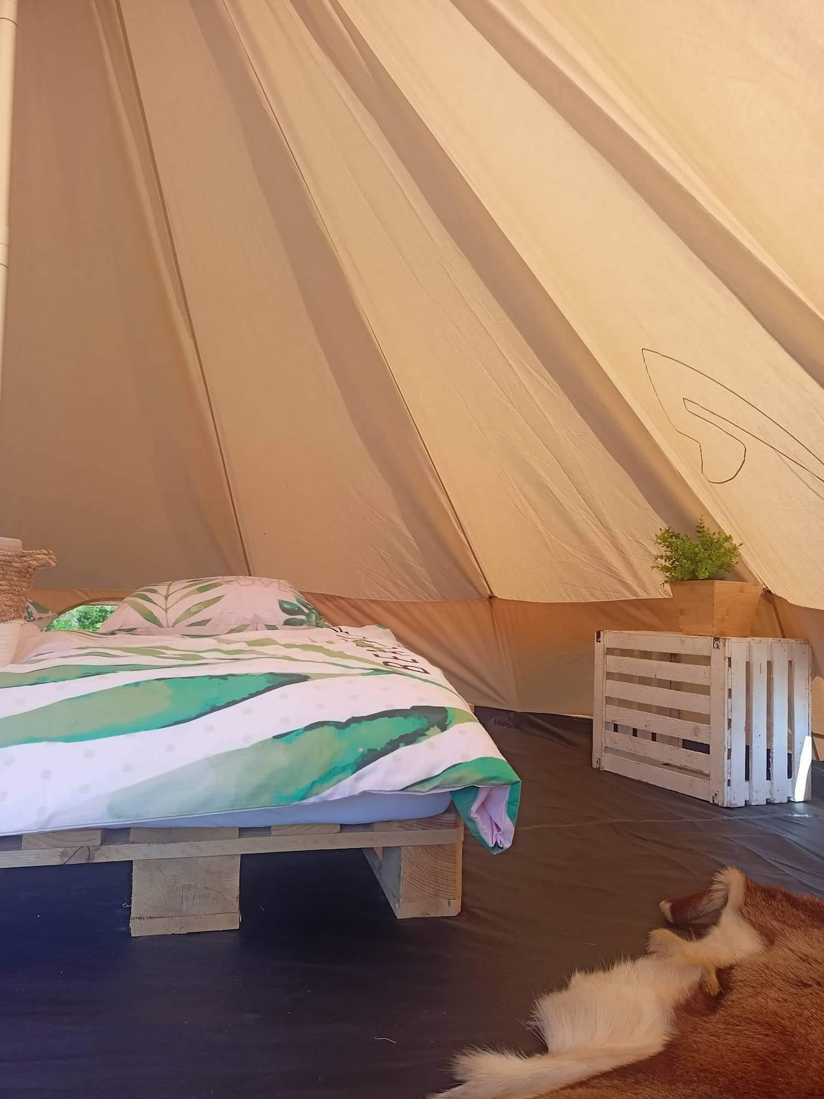 GLAMPING VILLAGE VINTGAR TENT 3