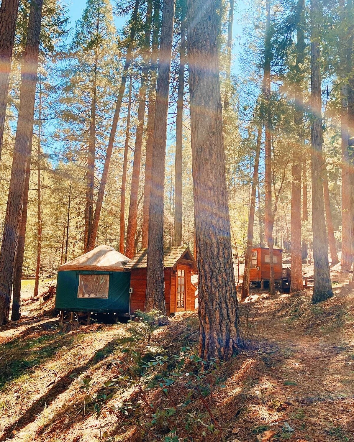 Nevada City Cabin & Yurt
