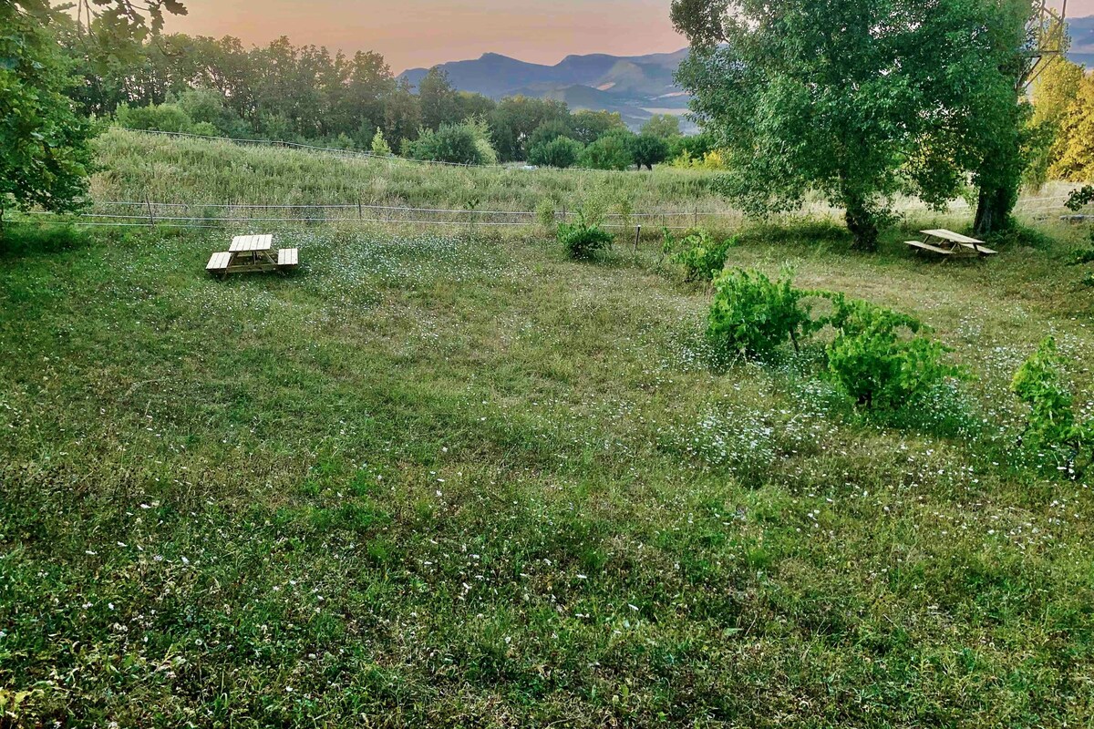 Gîtes du Puyjovent - Côté Forêt