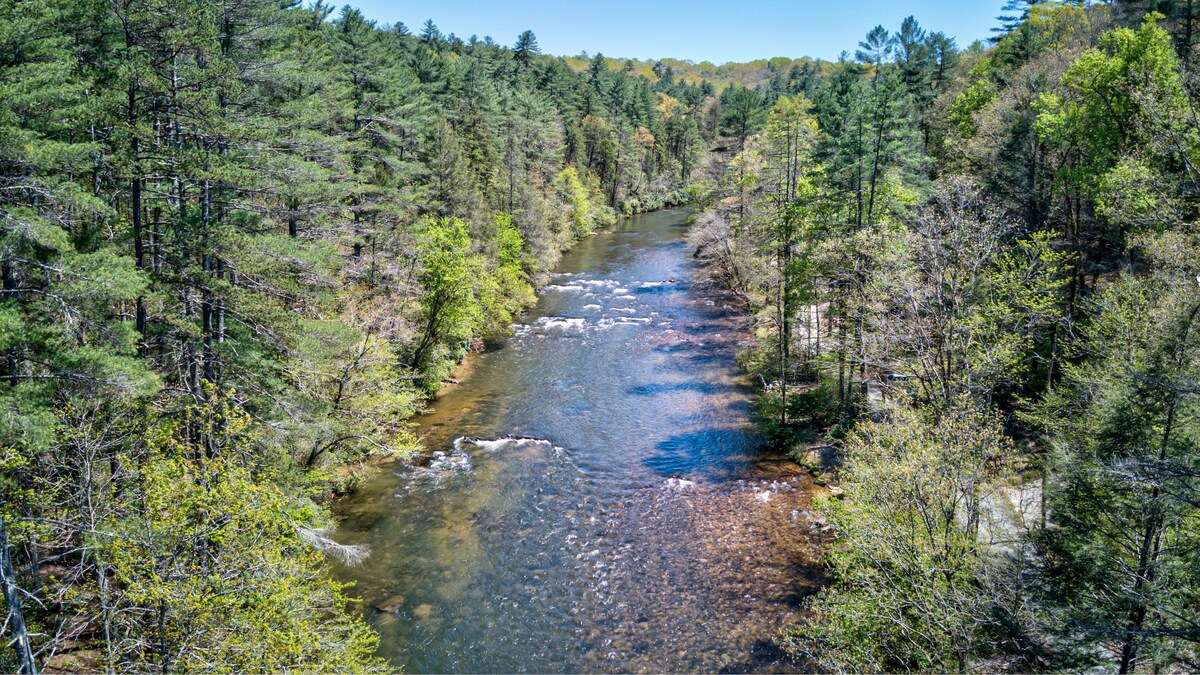 Blue Ridge Toccoa Pearl: Fish, Tube, & Swim!