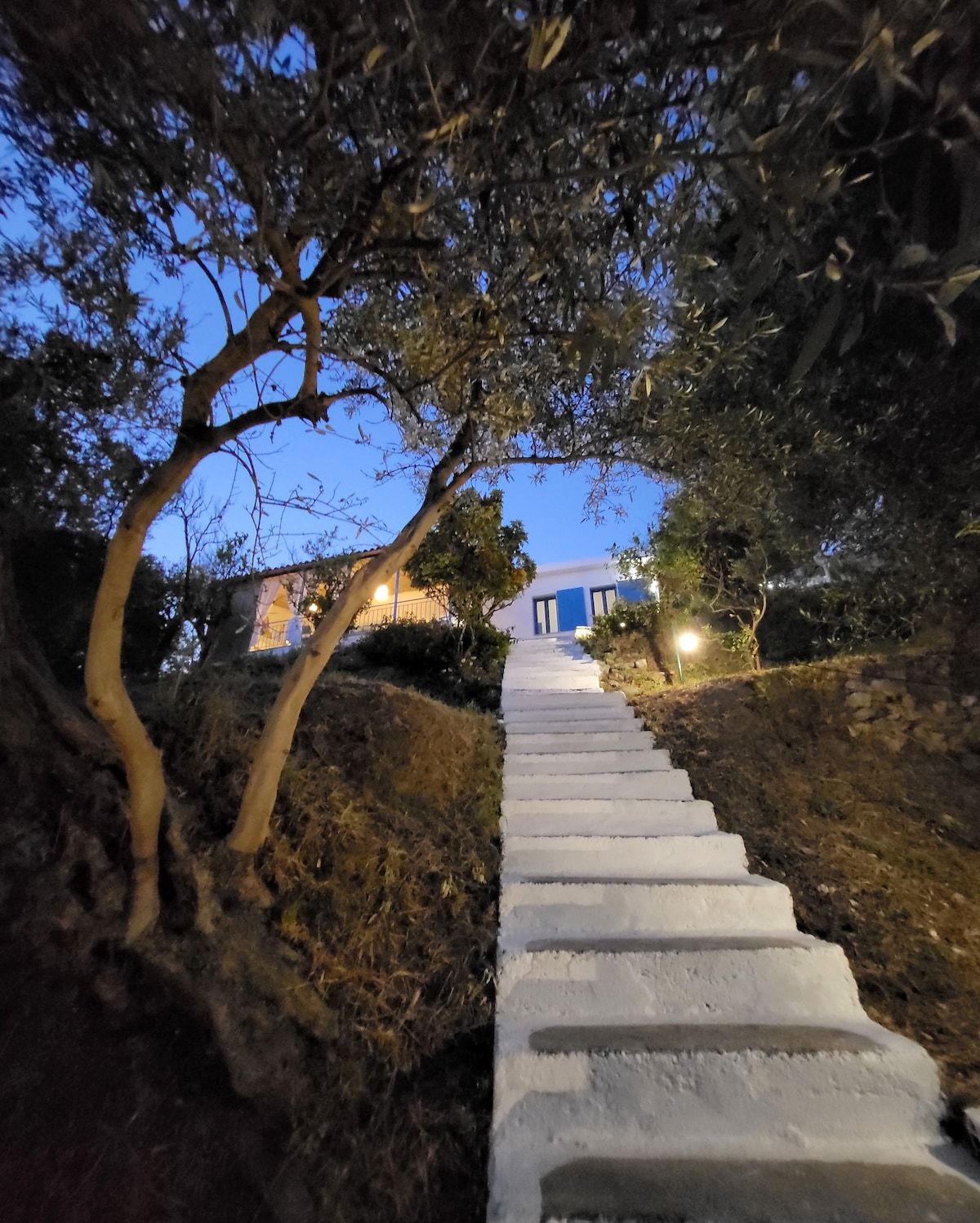 伊奥尼亚海（ Ionian Sea ）的阳台和数百年的橄榄树下
