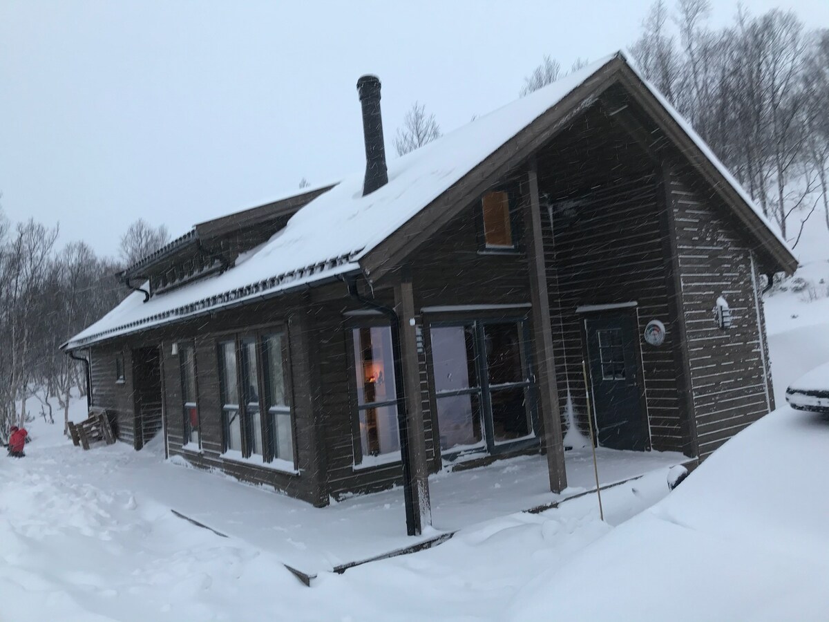 Gramstølen/Filefjell更新且设备齐全的小木屋。