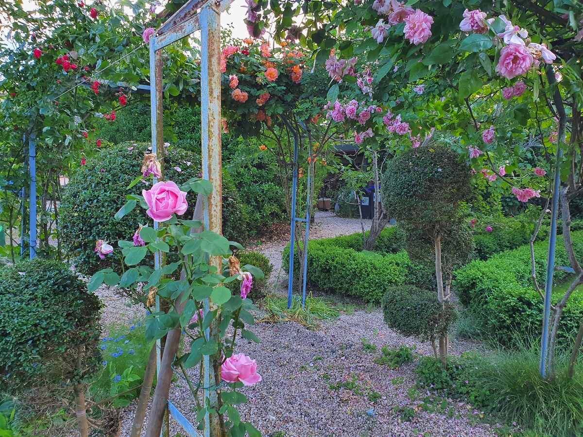 A l'ombre des marronniers chambre parfum de roses