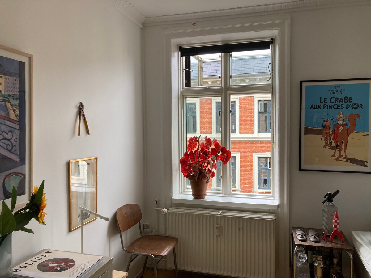 位于Nørrebro市中心的可爱单卧室公寓