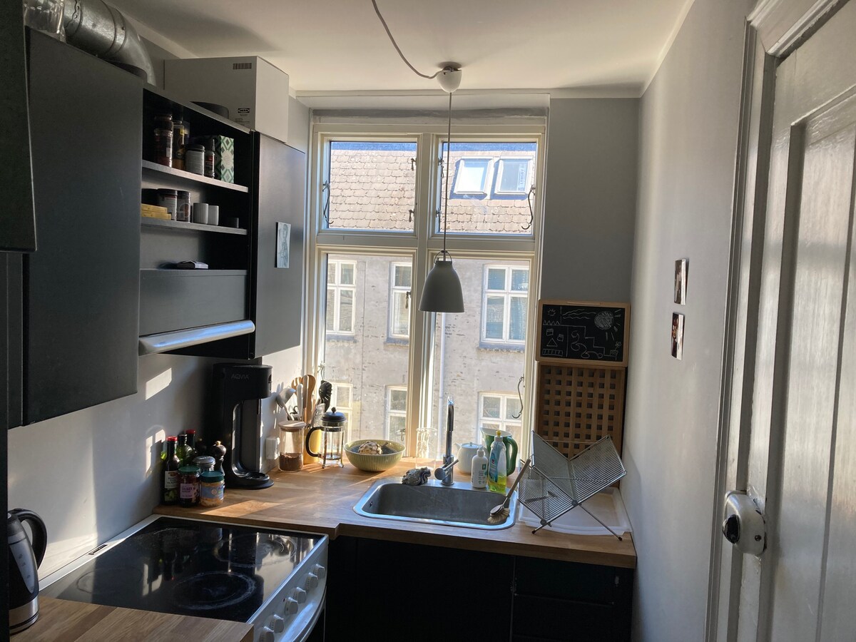 位于Nørrebro市中心的可爱单卧室公寓