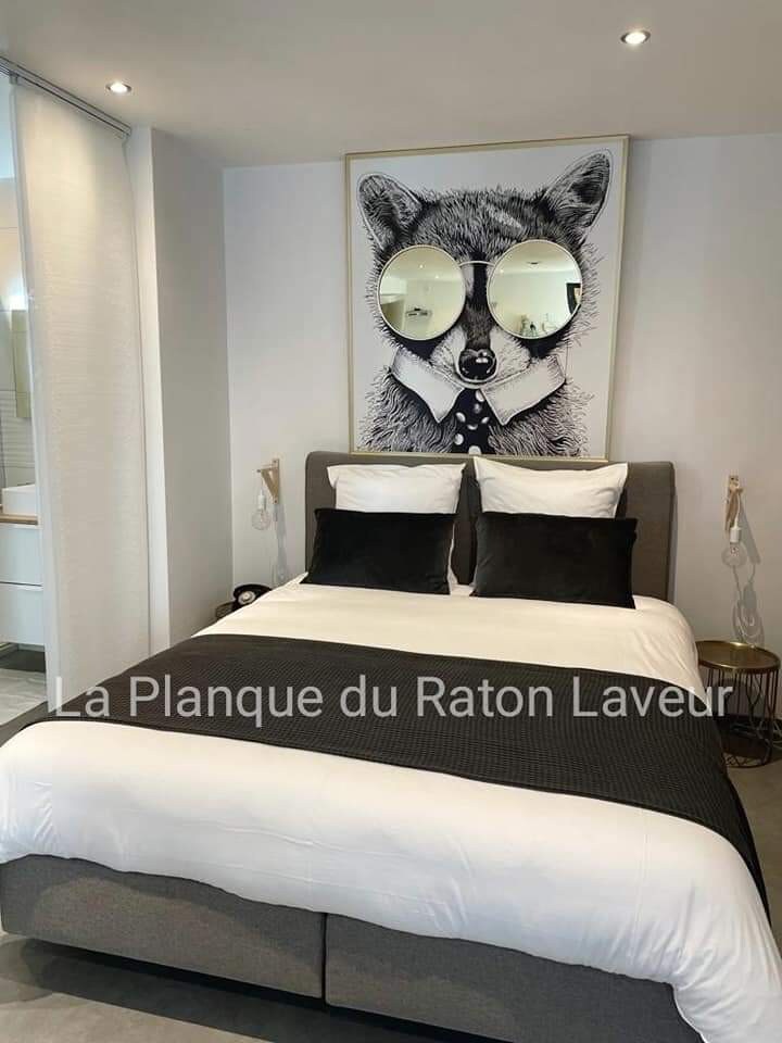 漂亮的单间公寓"la planque du raton laveur"