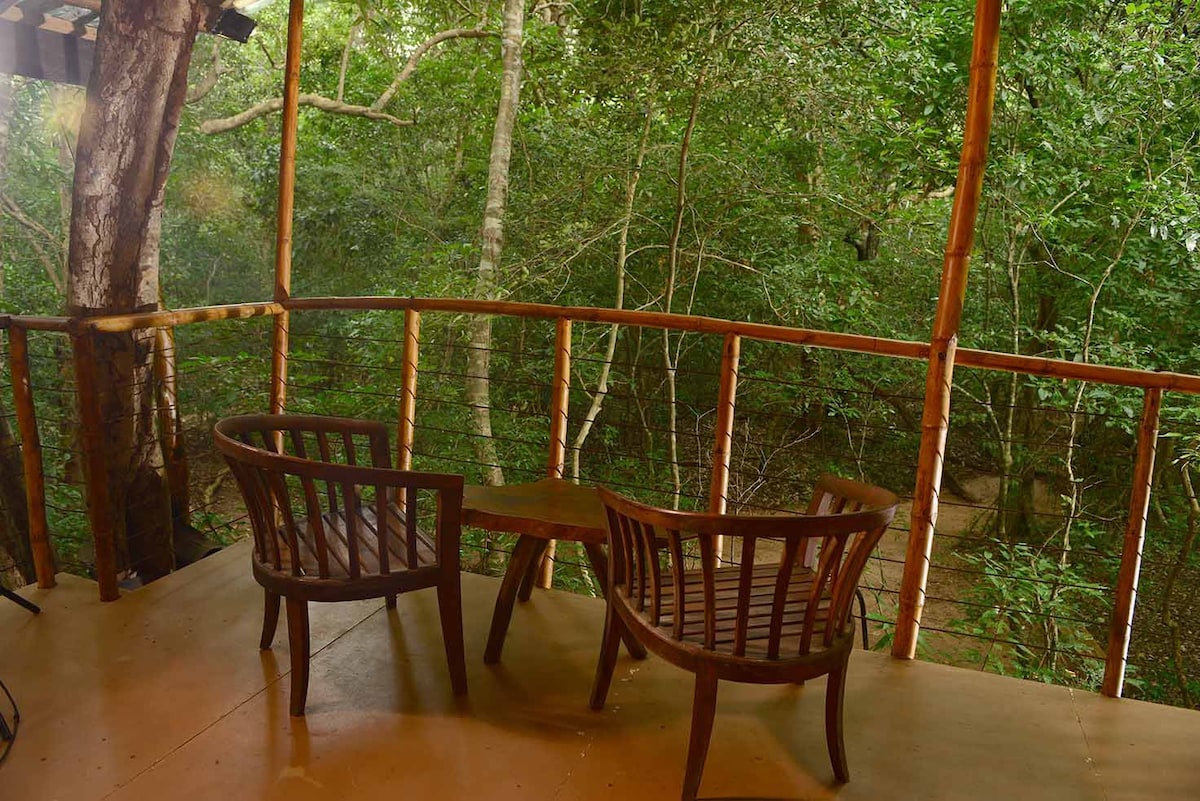 丛林书籍，住在锡吉里亚（ Sigiriya ）的舒适树屋中