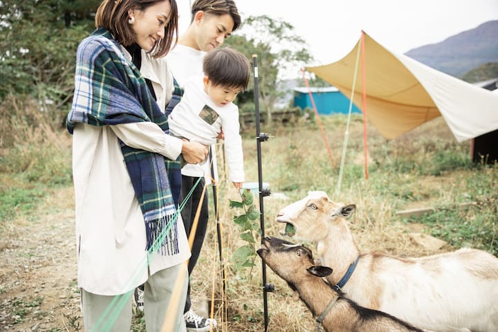 Tsuru的民宿