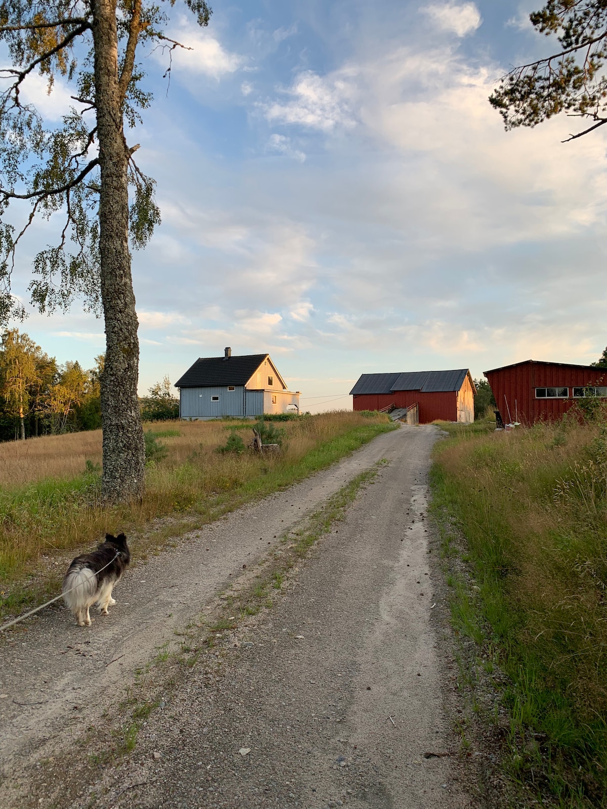 Enjoy nature at cosy farmhouse in Åmli, Agder