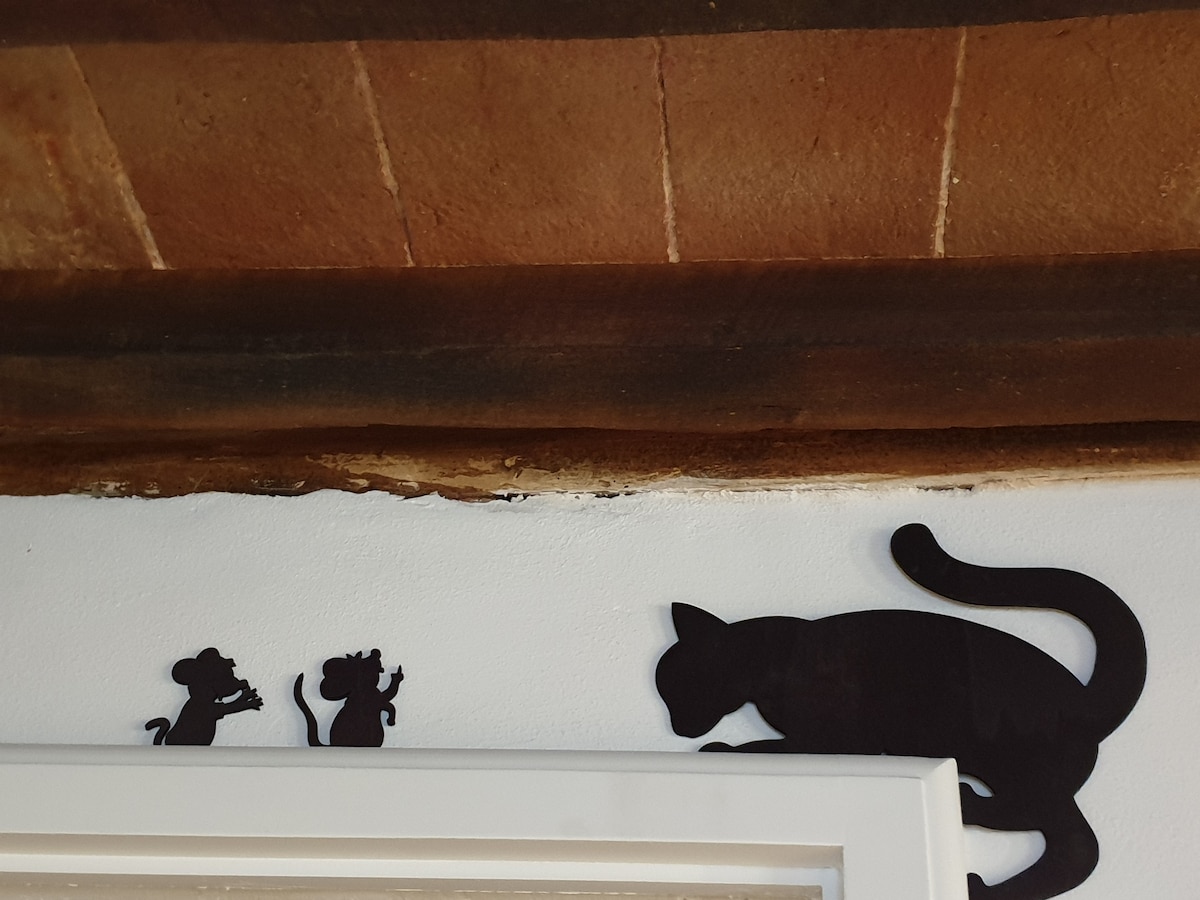 蒙塔尔西内洛（ Montalcinello ）的公寓「一只猫和两只老鼠」